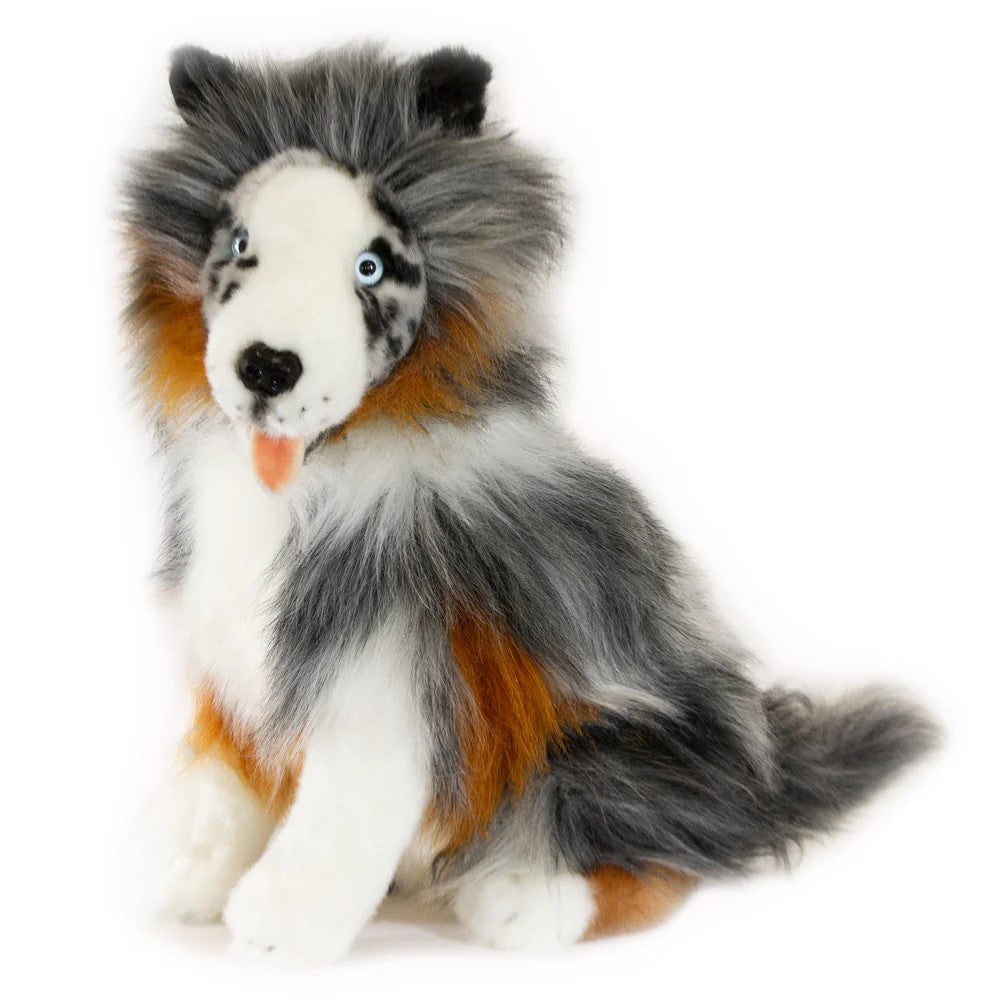 Oakley (Australian Shepherd - 35cm sitting, Blue Merle)