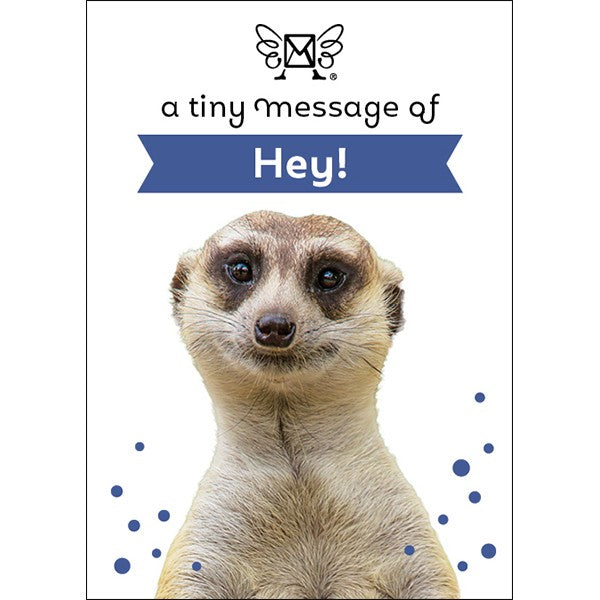 DM05 - HEY!