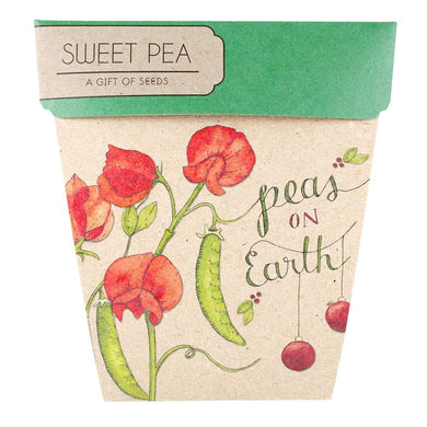 A GIFT OF SEEDS SWEET PEA  ECHO CARDS