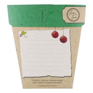 A GIFT OF SEEDS SWEET PEA  ECHO CARDS