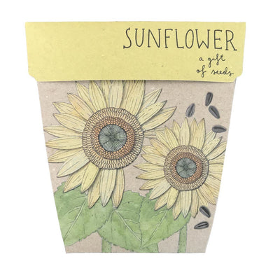 A GIFT OF SEEDS SUNFLOWERS ECHO CARD