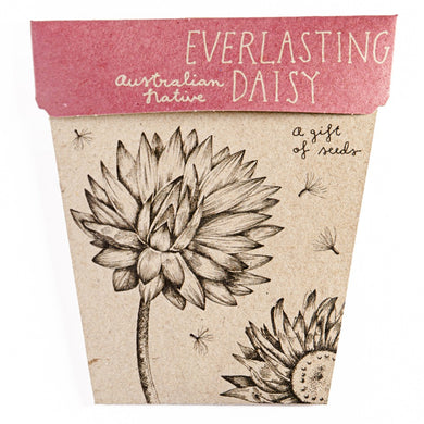 A GIFT OF SEEDS DAISY ECHO CARD