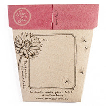 Load image into Gallery viewer, A GIFT OF SEEDS DAISY ECHO CARD
