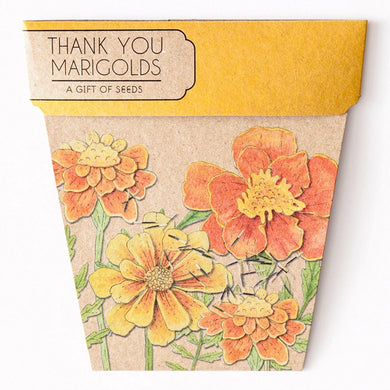 A GIFT OF SEEDS MERIGOLDS THANK YOU ECHO CARD