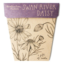 Load image into Gallery viewer, A GIFT OF SEEDS SWAN RIVER DAISY ECHO CARD
