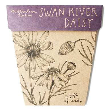 A GIFT OF SEEDS SWAN RIVER DAISY ECHO CARD