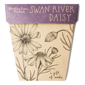 A GIFT OF SEEDS SWAN RIVER DAISY ECHO CARD