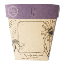 Load image into Gallery viewer, A GIFT OF SEEDS SWAN RIVER DAISY ECHO CARD
