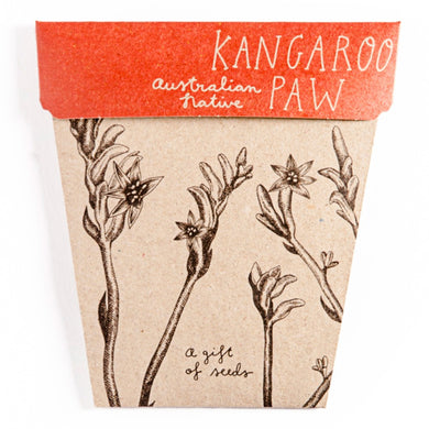 A GIFT OF SEEDS KANGAROO PAW ECHO CARD