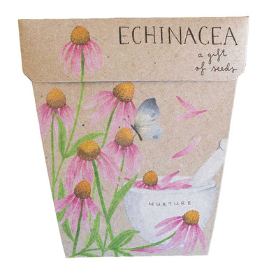 A GIFT OF SEEDS ECHINACEA  ECHO CARD