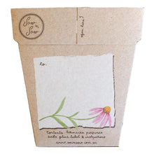 Load image into Gallery viewer, A GIFT OF SEEDS ECHINACEA  ECHO CARD
