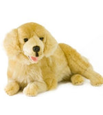 GOLDEN RETRIEVER LUCKY 50CM