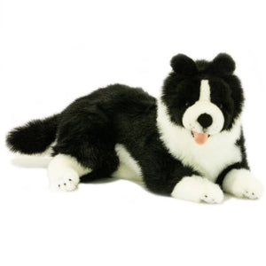 BORDER COLLIE STARSKY 40CM