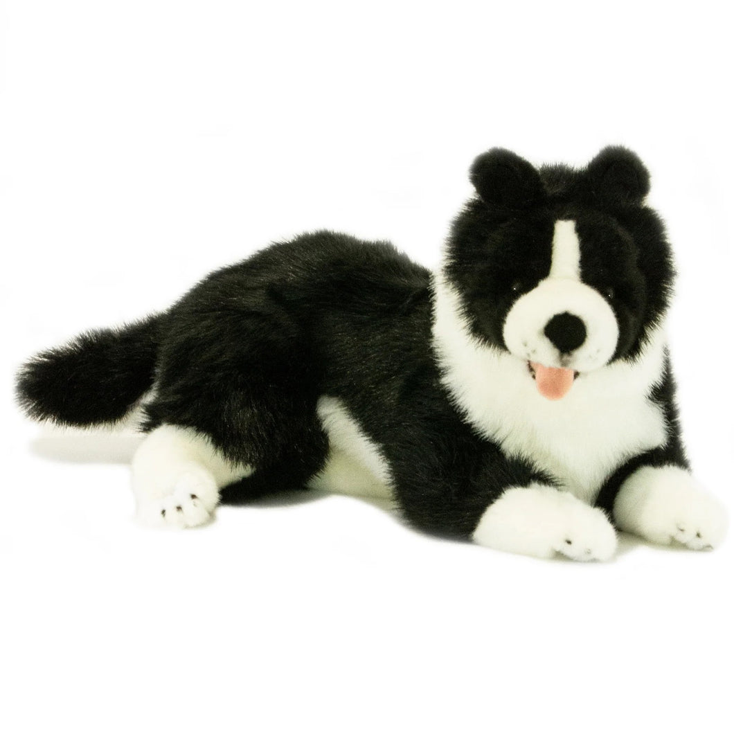 BORDER COLLIE STARSKY 40CM