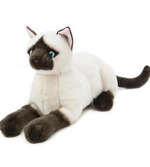 CAT - AMELIA SIAMESE CROUCHING