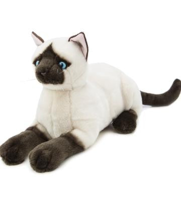 CAT - AMELIA SIAMESE CROUCHING