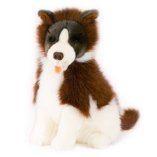 BRANDY B COLLIE BROWN SITTING 35CM