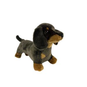 DACHSHUND STRETCH 36CM
