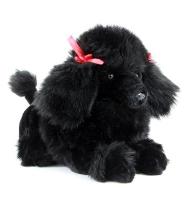POODLE ROMEO 30CM