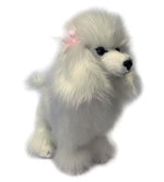 POODLE - FIFI