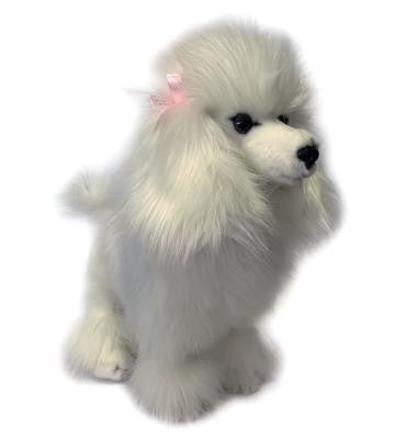 POODLE - FIFI