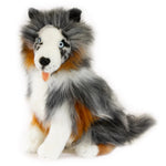 Oakley  (Australian Shepherd - 35cm sitting, Blue Merle)