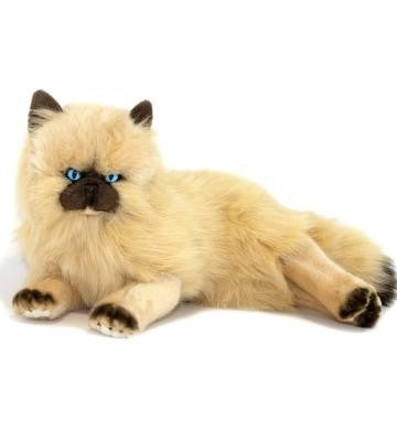 VIOLET HIMALAYAN CAT 38CM LYING