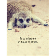 Load image into Gallery viewer, RELAX 24 SOOTHING SNIPPETS FOR A LAID BACK LIFE
