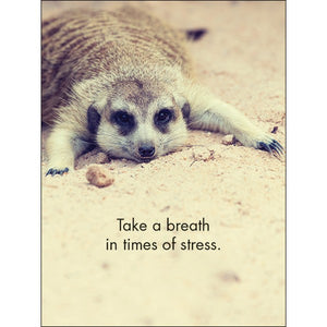 RELAX 24 SOOTHING SNIPPETS FOR A LAID BACK LIFE