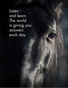 HORSE SENSE