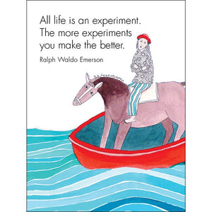 DLF - LIFE