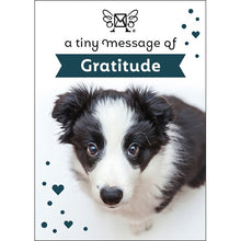 Load image into Gallery viewer, DM03 - GRATITUDE
