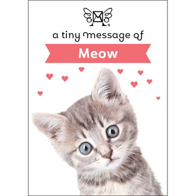 DM04 - MEOW