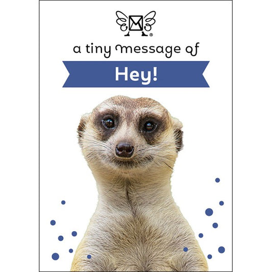 DM05 - HEY!