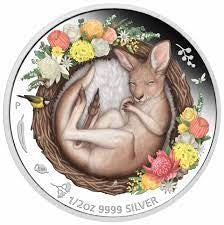 COIN KANGAROO 2021 1/2 OZ SILVER PR COIN