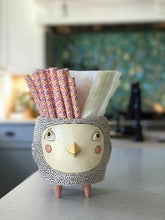 Load image into Gallery viewer, POT PLANTER BYE BYE BIRDIE
