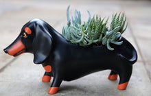 Load image into Gallery viewer, POT PLANTER OTIS
