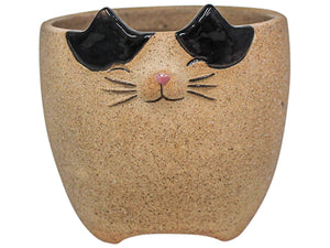 PLANTER FELIX