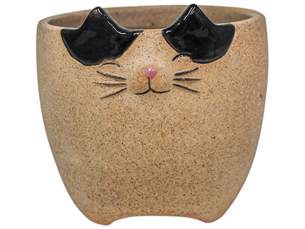 PLANTER FELIX