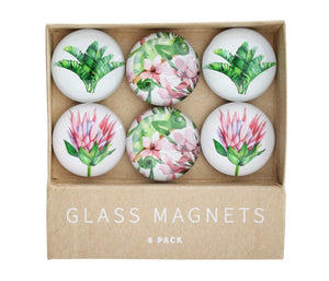 MAGNETS GLASS TROPICAL CHAMELO