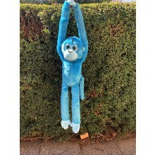 MONKEY JORDAN