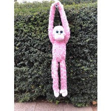 MONKEY ALANA