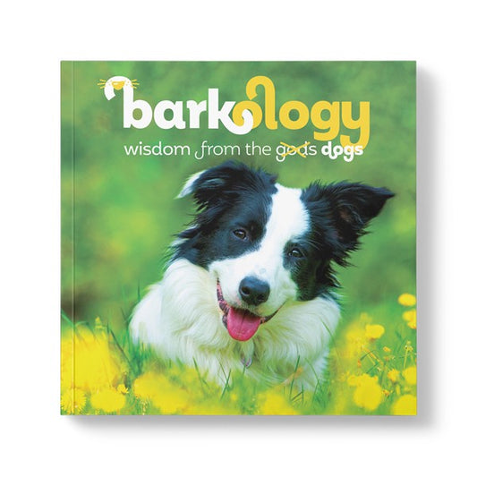 BARKOLOGY