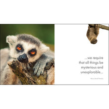 Load image into Gallery viewer, LITTLE BOOK OF JUNGLE JOY
