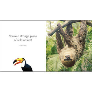 LITTLE BOOK OF JUNGLE JOY