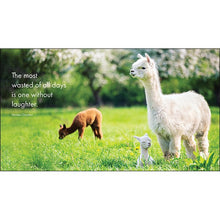 Load image into Gallery viewer, LITTLE BOOK OF LLAMA LOVE
