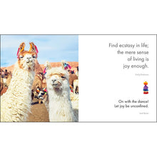 Load image into Gallery viewer, LITTLE BOOK OF LLAMA LOVE
