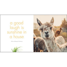 Load image into Gallery viewer, LITTLE BOOK OF LLAMA LOVE
