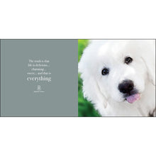 Load image into Gallery viewer, PUPPARAZZI INSPIRATION BOOK
