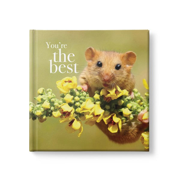 YOU'RE THE BEST INSPIRATION BOOK